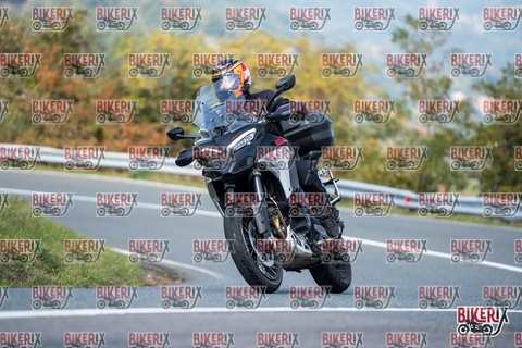 Passo della Futa E 11-10-25 h13-18 1384