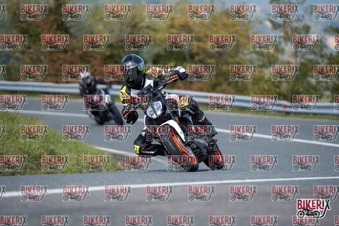 Passo della Futa E 11-10-25 h13-18 1394