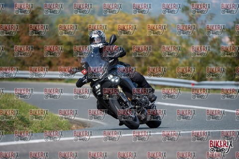 Passo della Futa E 11-10-25 h13-18 1403