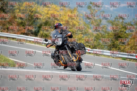 Passo della Futa E 11-10-25 h13-29 1428