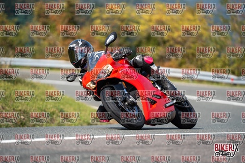 Passo della Futa E 11-10-25 h13-33 1442