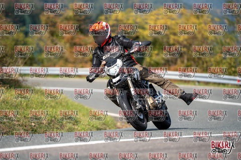 Passo della Futa E 11-10-25 h13-34 1449