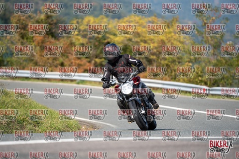 Passo della Futa E 11-10-25 h13-34 1452