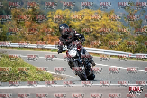 Passo della Futa E 11-10-25 h13-34 1453