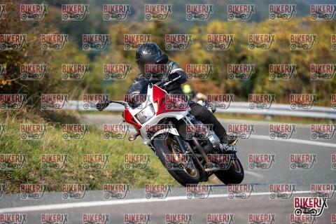 Passo della Futa E 11-10-25 h13-34 1458