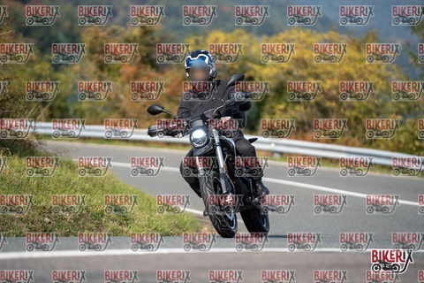 Passo della Futa E 11-10-25 h13-35 1470