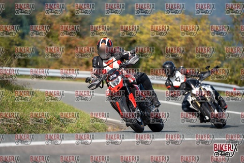 Passo della Futa E 11-10-25 h13-40 1494