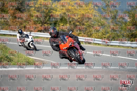 Passo della Futa E 11-10-25 h14-02 1529