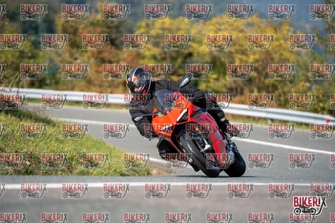 Passo della Futa E 11-10-25 h14-02 1531