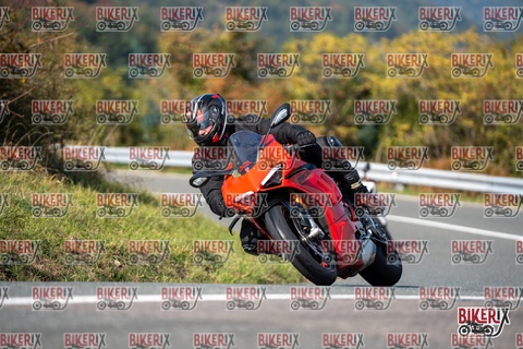 Passo della Futa E 11-10-25 h14-02 1532