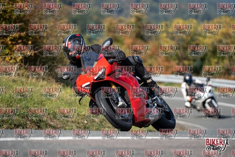 Passo della Futa E 11-10-25 h14-02 1533