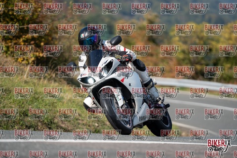 Passo della Futa E 11-10-25 h14-02 1536