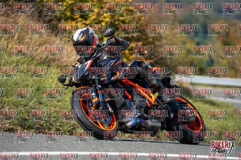 Passo della Futa E 11-10-25 h14-02 1542