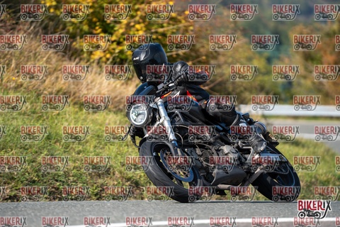 Passo della Futa E 11-10-25 h14-02 1549