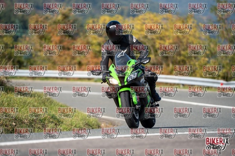 Passo della Futa E 11-10-25 h14-10 1567