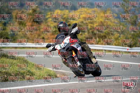 Passo della Futa E 11-10-25 h14-14 1579