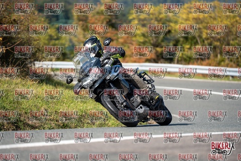 Passo della Futa E 11-10-25 h14-19 1587