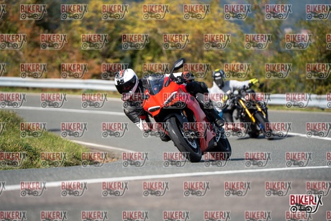 Passo della Futa E 11-10-25 h14-19 1595