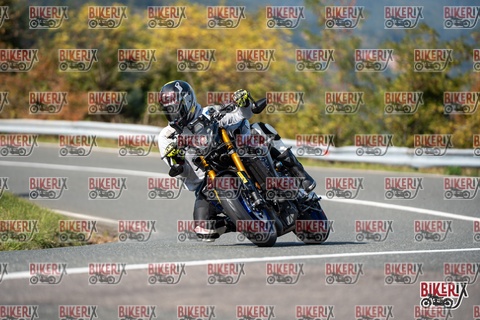 Passo della Futa E 11-10-25 h14-19 1596