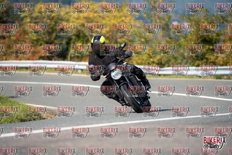 Passo della Futa E 11-10-25 h14-20 1600