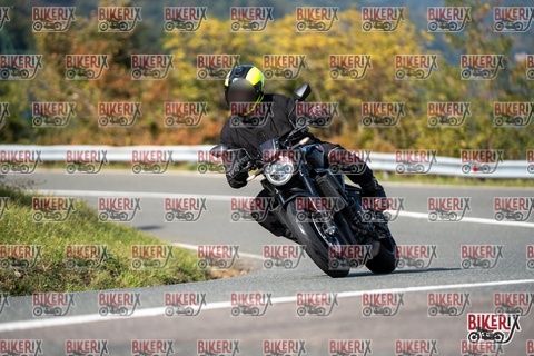 Passo della Futa E 11-10-25 h14-20 1602