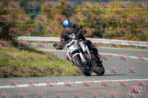 Passo della Futa E 11-10-25 h14-20 1605