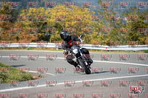 Passo della Futa E 11-10-25 h14-27 1627