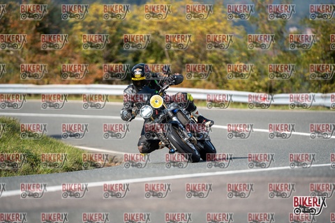 Passo della Futa E 11-10-25 h14-28 1631