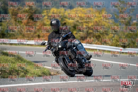 Passo della Futa E 11-10-25 h14-30 1643