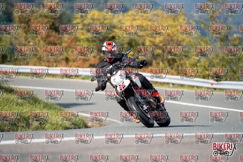 Passo della Futa E 11-10-25 h14-40 1664