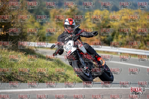 Passo della Futa E 11-10-25 h14-40 1666