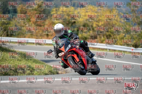 Passo della Futa E 11-10-25 h14-41 1671