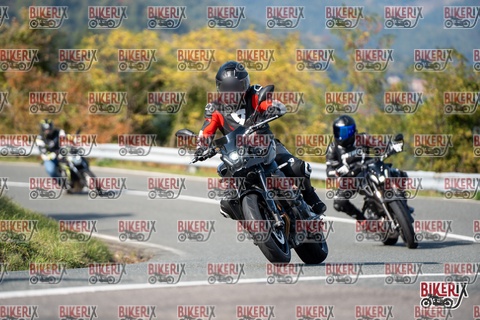 Passo della Futa E 11-10-25 h14-42 1687