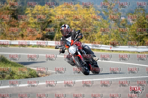 Passo della Futa E 11-10-25 h14-45 1699