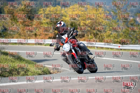 Passo della Futa E 11-10-25 h14-45 1700