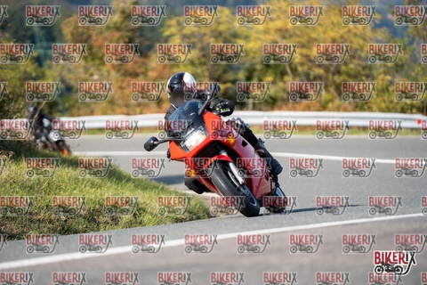 Passo della Futa E 11-10-25 h14-45 1704