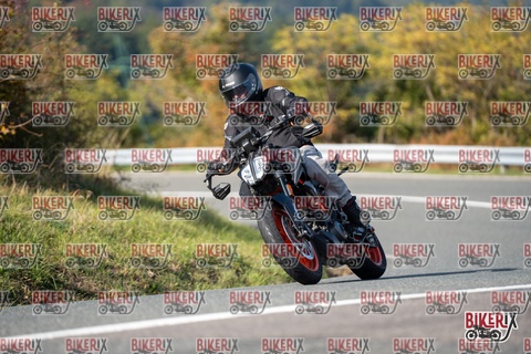 Passo della Futa E 11-10-25 h14-45 1712