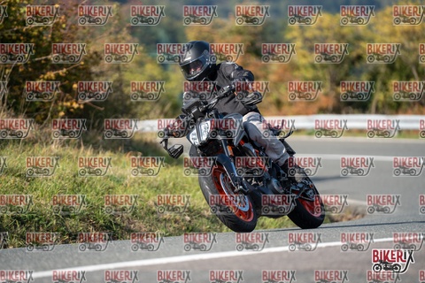 Passo della Futa E 11-10-25 h14-45 1713