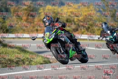 Passo della Futa E 11-10-25 h14-45 1718