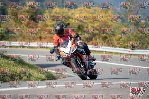 Passo della Futa E 11-10-25 h14-55 1761