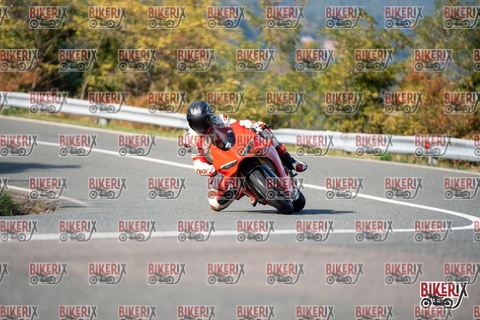 Passo della Futa E 11-10-25 h14-55 1773