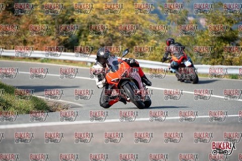 Passo della Futa E 11-10-25 h14-55 1782