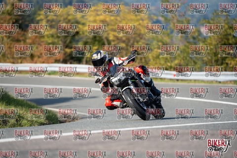 Passo della Futa E 11-10-25 h15-02 1830