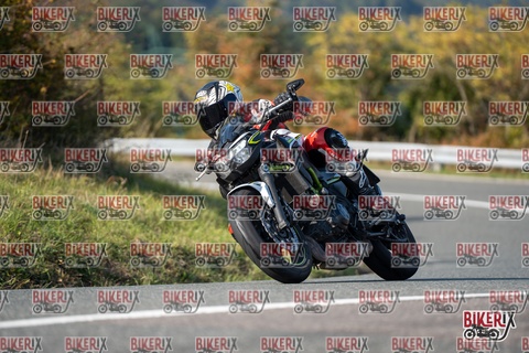 Passo della Futa E 11-10-25 h15-02 1833