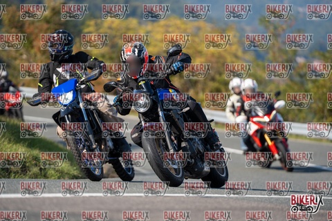 Passo della Futa E 11-10-25 h15-10 1880