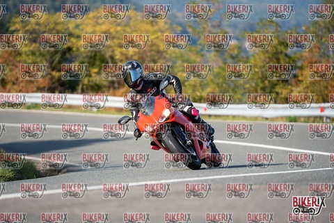 Passo della Futa E 11-10-25 h15-18 1947