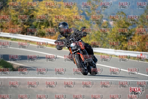 Passo della Futa E 11-10-25 h15-20 1948