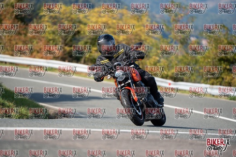 Passo della Futa E 11-10-25 h15-20 1949