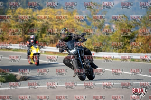 Passo della Futa E 11-10-25 h15-23 1979