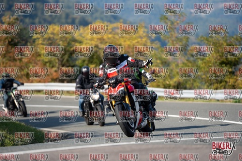 Passo della Futa E 11-10-25 h15-26 1991